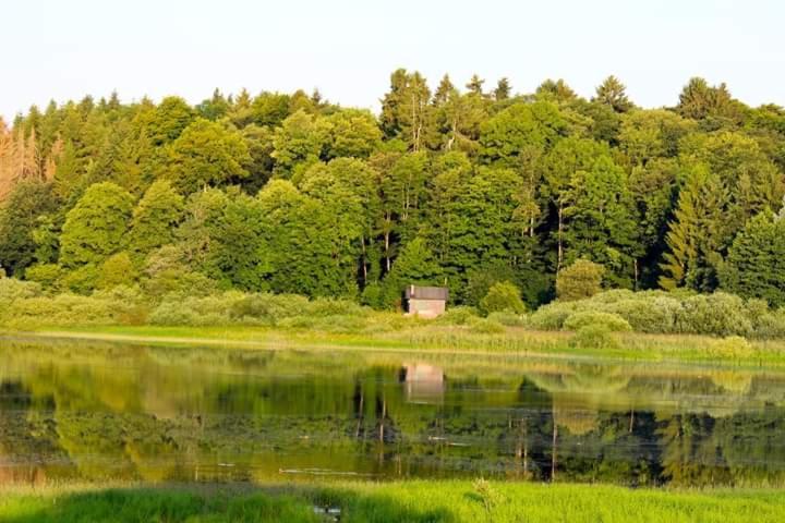 Ferienhaus Mauer Krombachtalsperre, Exclusive Nebenkosten Strom Driedorf Kültér fotó
